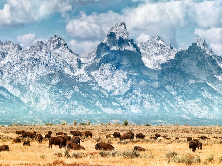 Grand Teton National Park, Wyoming