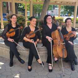 Norvall String Quartet, profile image