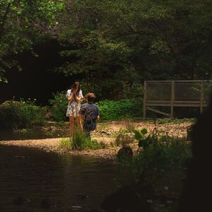 Gallery Photo 5