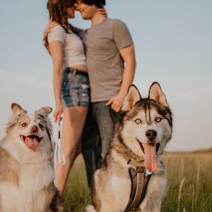 Gallery Photo 9