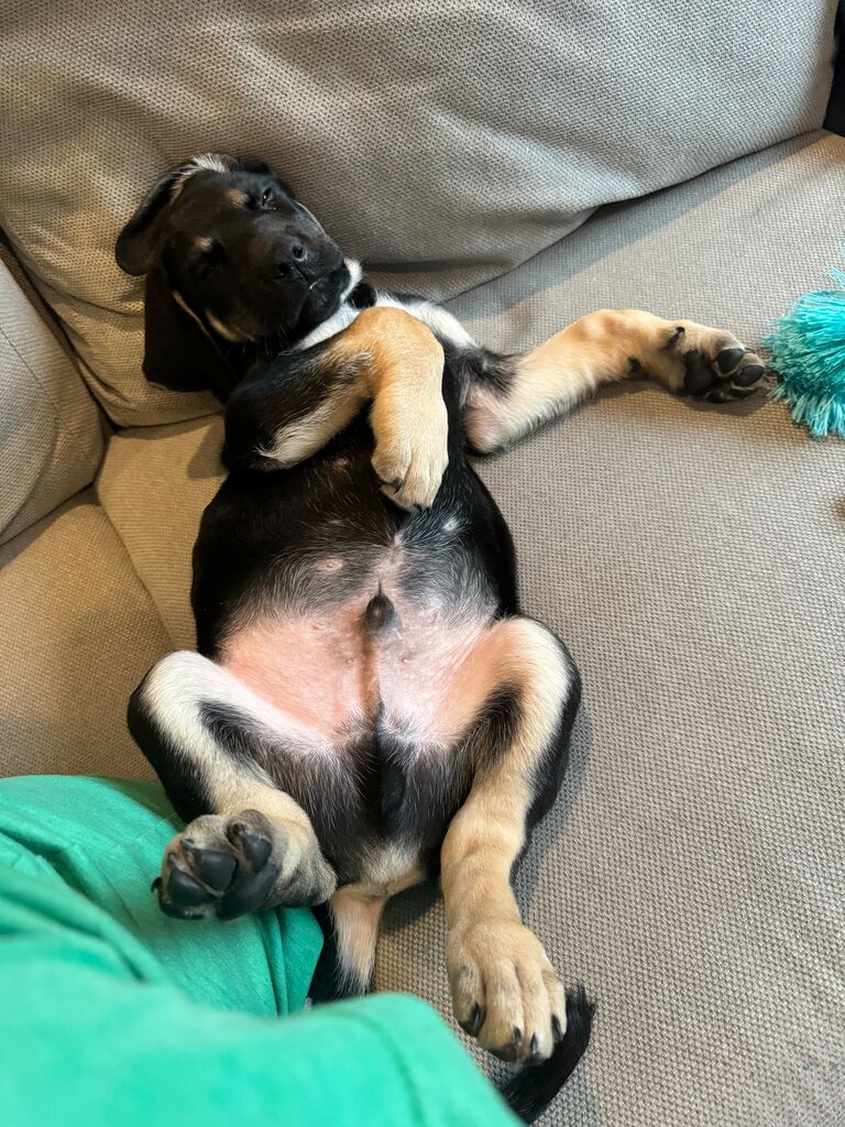 Just fed and ready for bed.