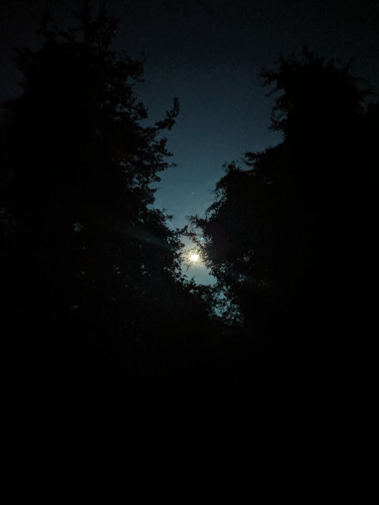 The night we met! We were at a party, and I took a photo of the moon. We were acquaintances back then. But it was my first party in my new congregation. 