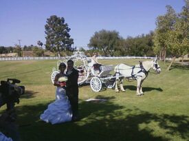 Your Wedding Your Way - Wedding Officiant - Temecula, CA - Hero Gallery 1