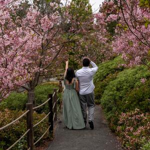Gallery Photo 20