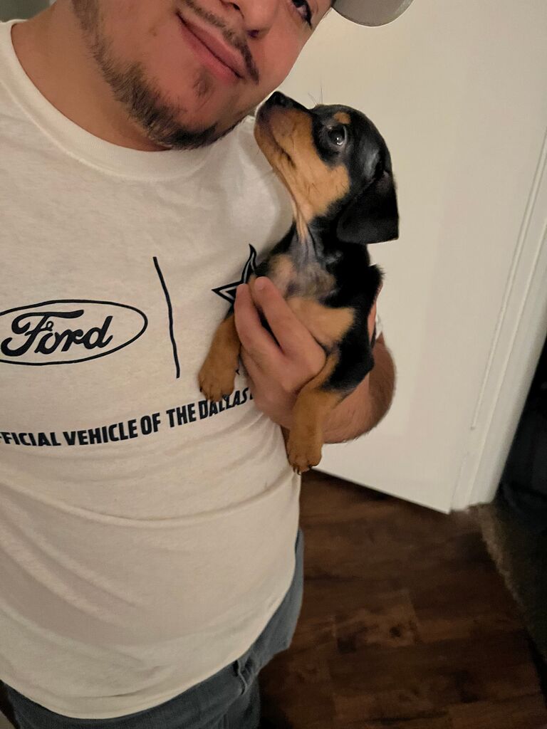 Adopted Rosie "Haba"