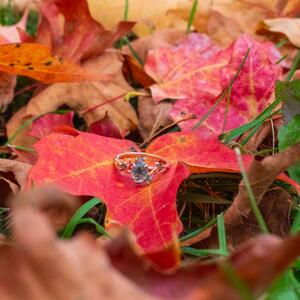 Gallery Photo 20