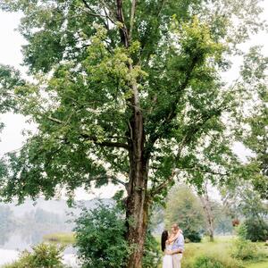 Gallery Photo 29