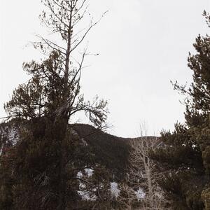 Gallery Photo 41