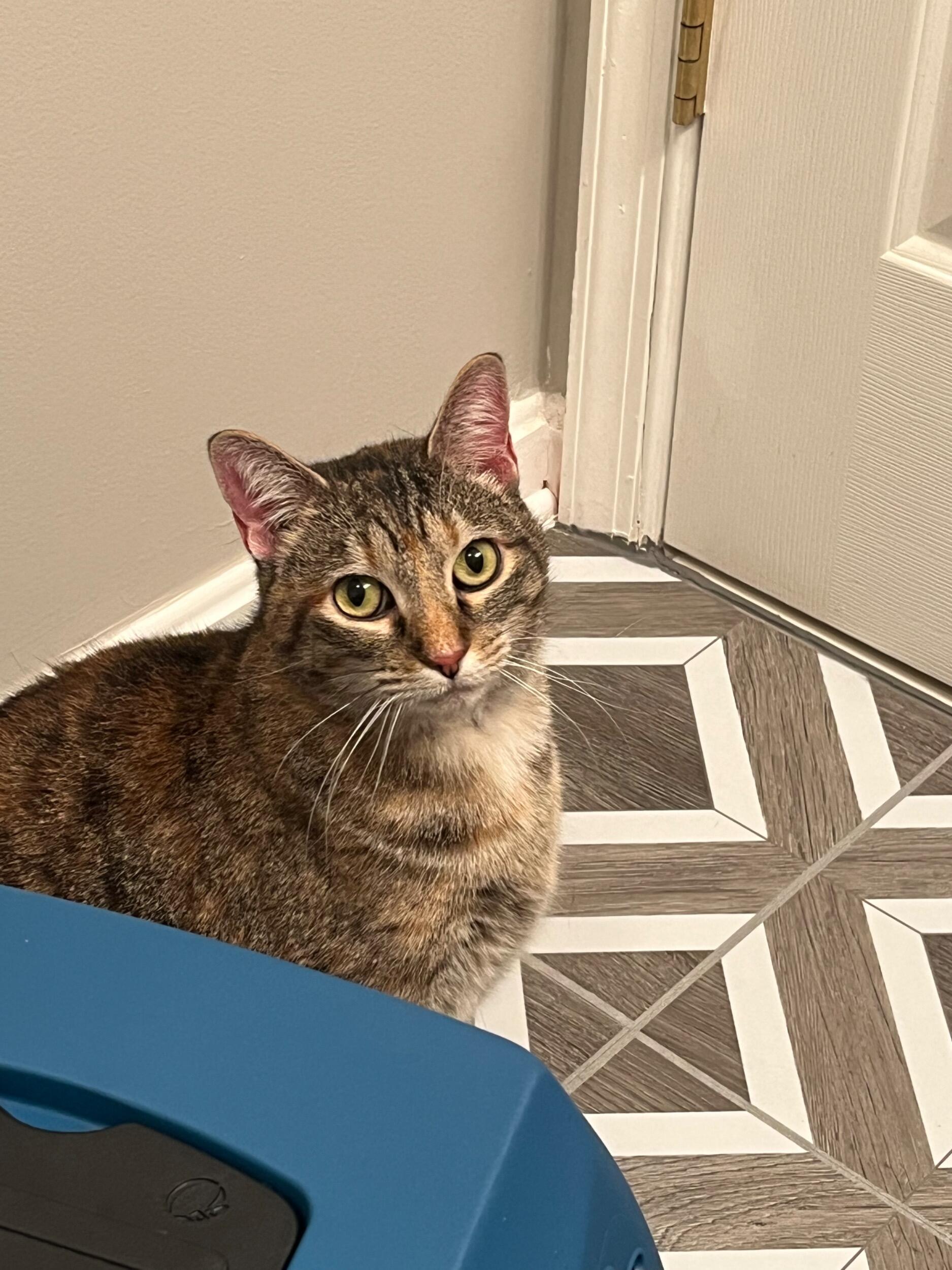 Just a week before the big day, and it was Summer in our lives!