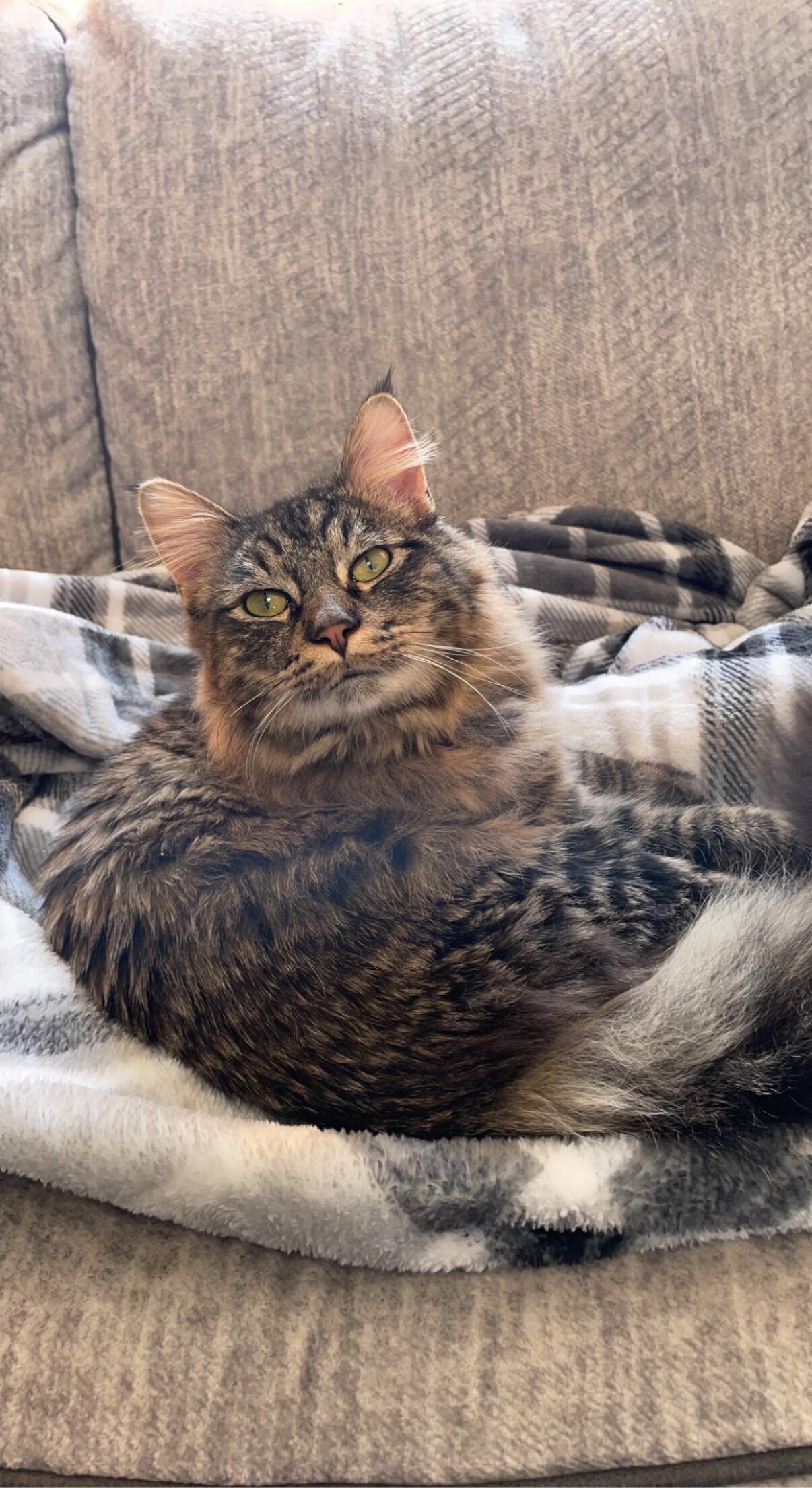 Had to say goodbye to Puma. 