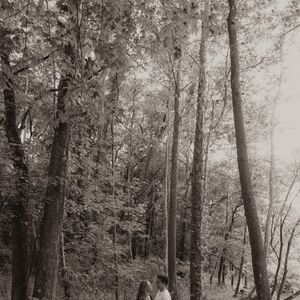 Gallery Photo 27