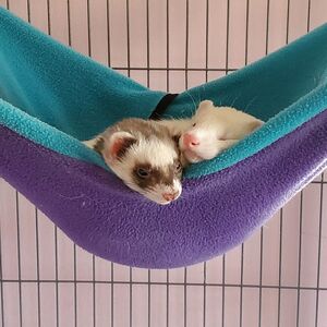 Gallery Photo 142