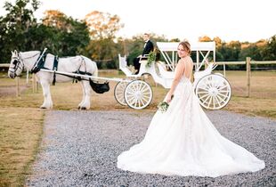 Mother of the Bride Dresses Greenville SC