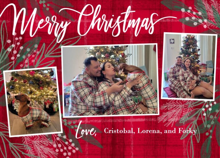 Christmas Card 2021.
First Family Photo Christmas Cards.