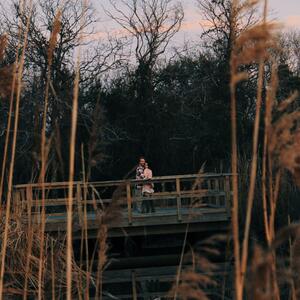 Gallery Photo 13