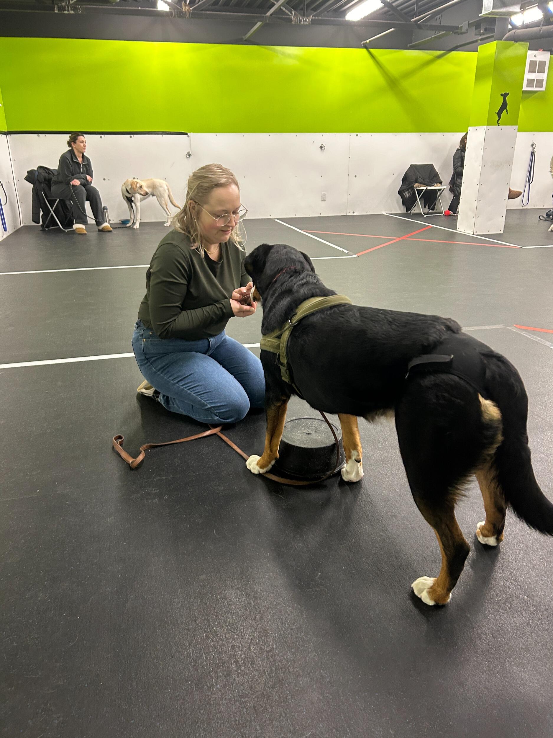 We're not exactly "top of the class" at puppy obedience school...