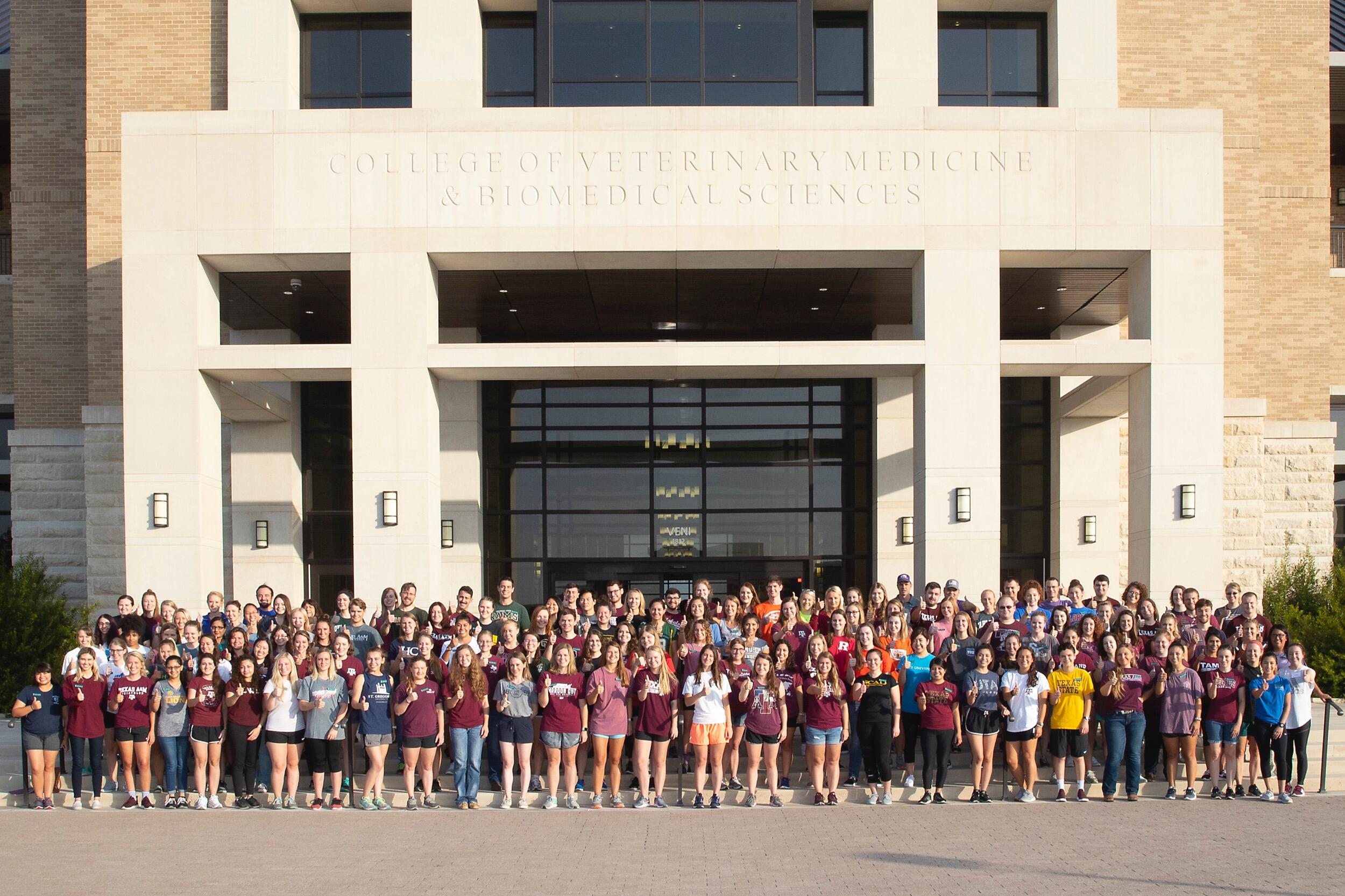 We first met at 1VM orientation through ice-breaker games and our randomly assigned Mentor Group