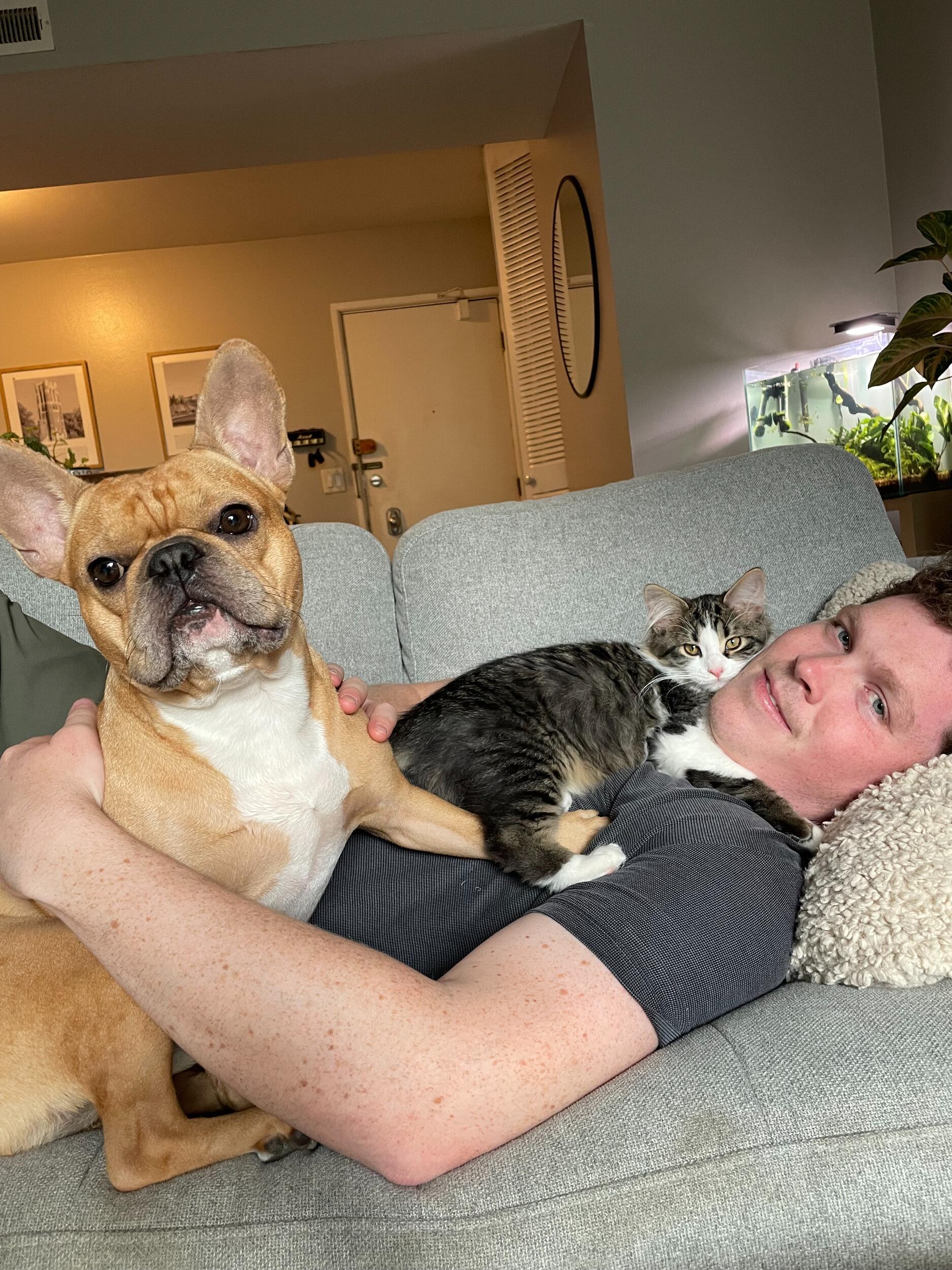 Cameron and Ashley decided to welcome a new little family member - Finn