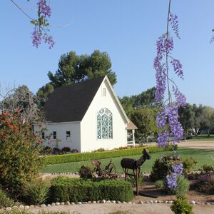 Gallery Photo 2
