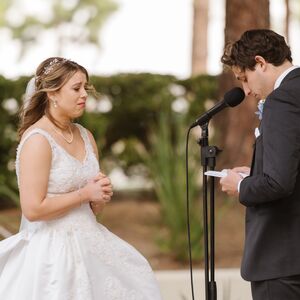 Gallery Photo 371