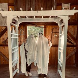 Gallery Photo 10