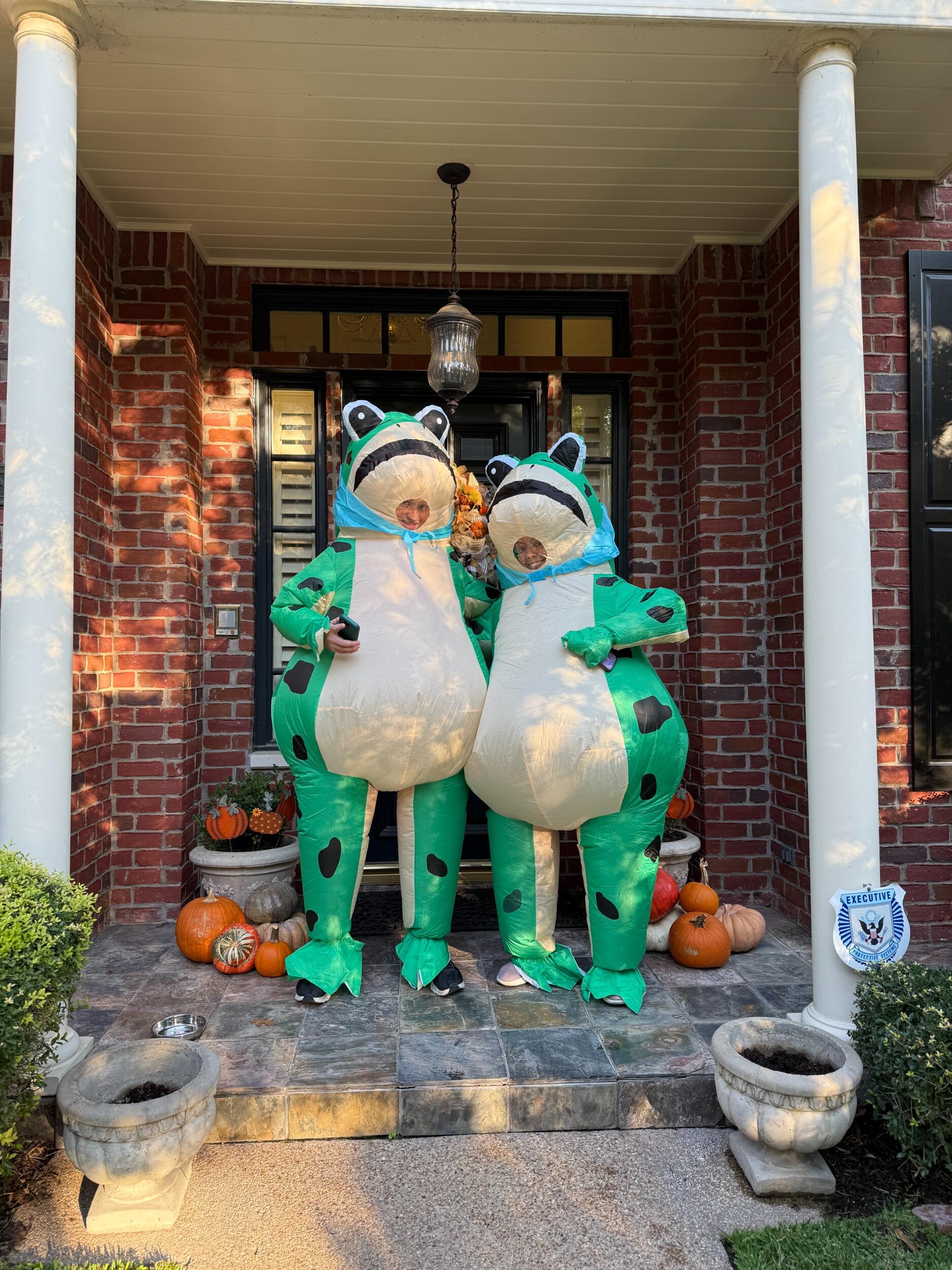 This wasn't necessarily a landmark event, but it was toad-ally awesome to dress up as matching frogs!🐸