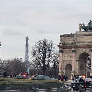 Gallery Photo 10