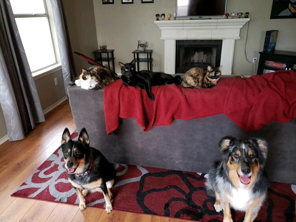 And the family is complete :)