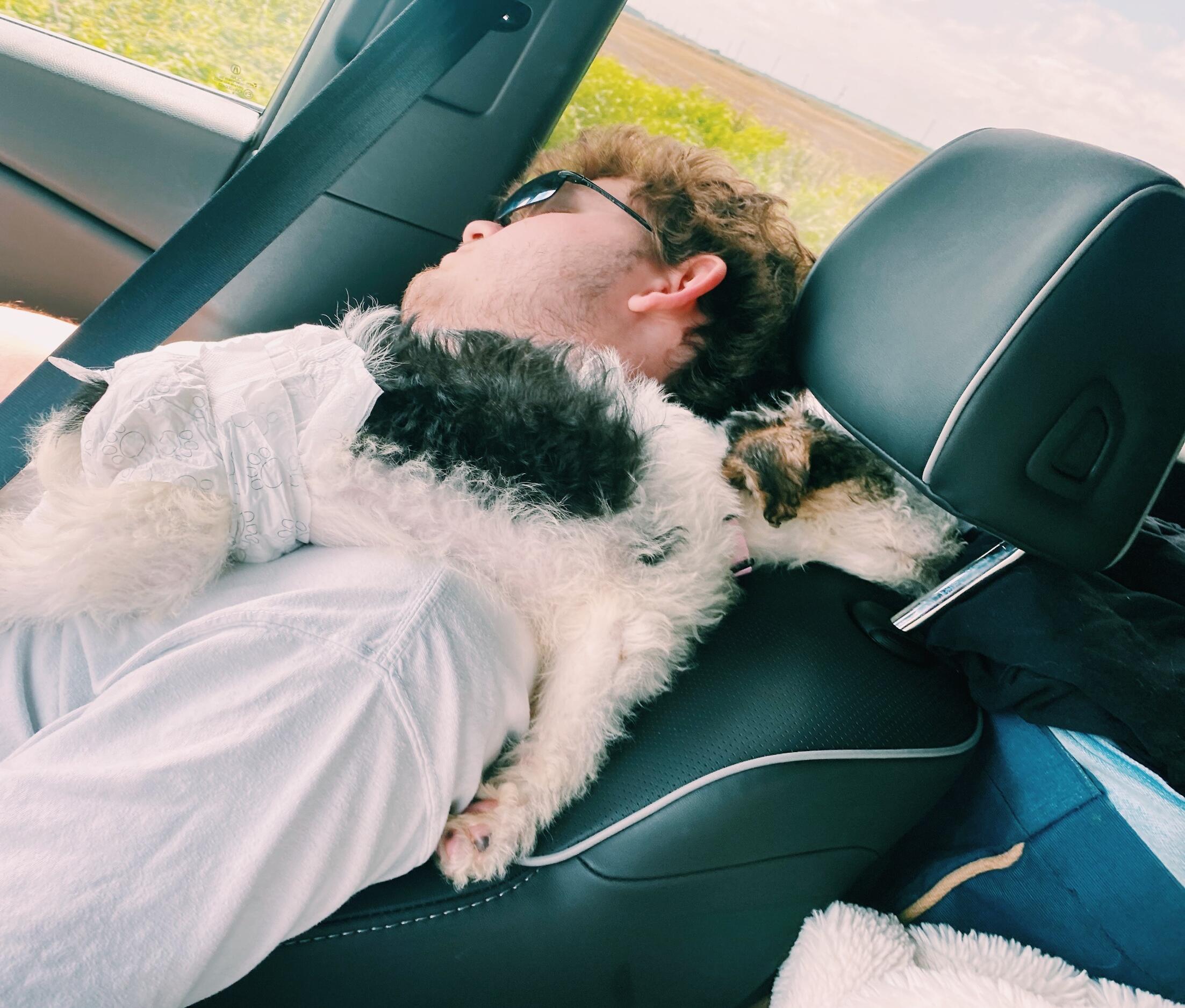 We picked up Coco on the way home! She quickly found her nap buddy.