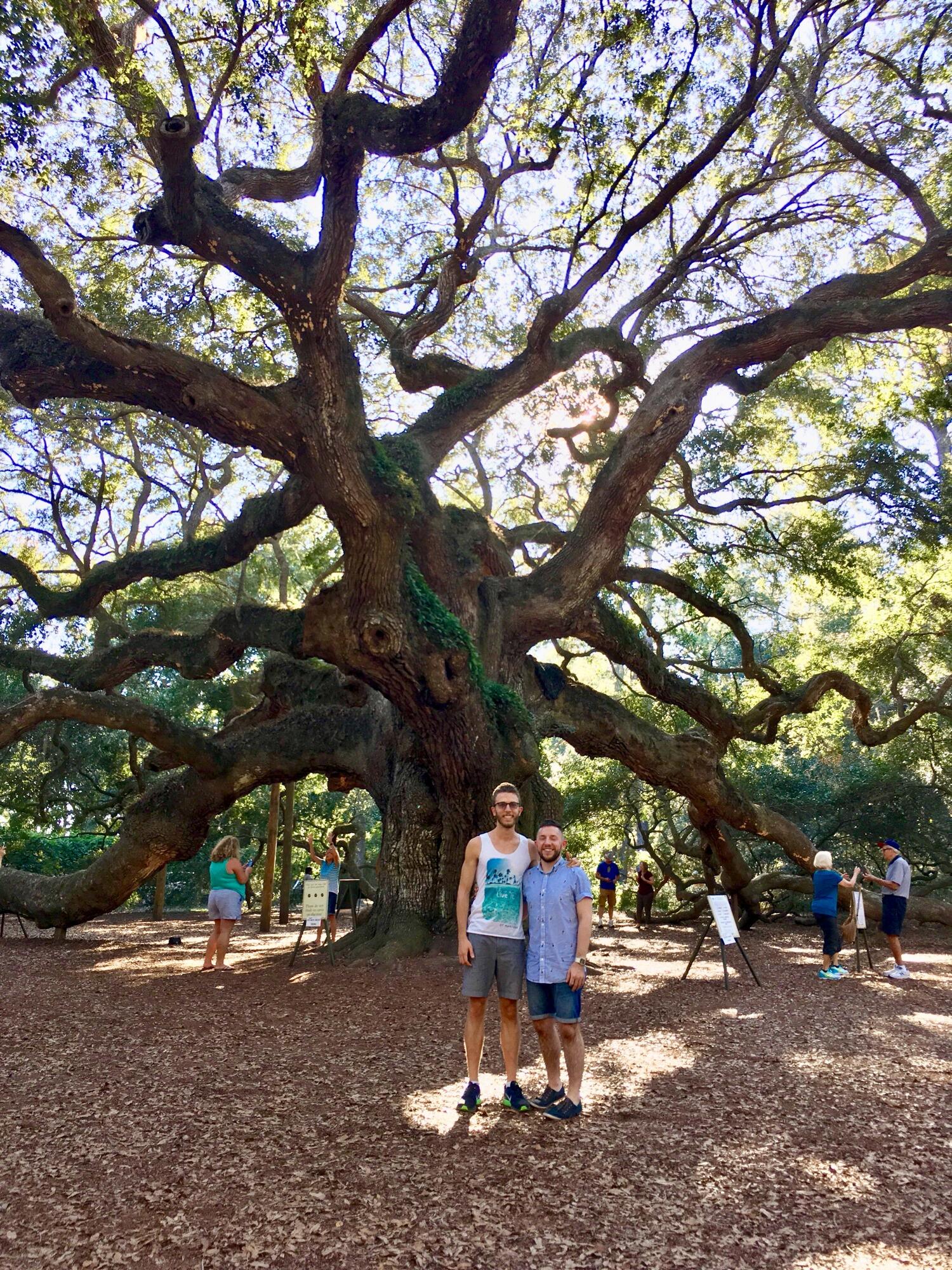 Visiting the historic Angel Oak Tree, while attending a wedding in Charleston, SC. 