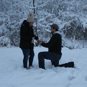 Gallery Photo 11