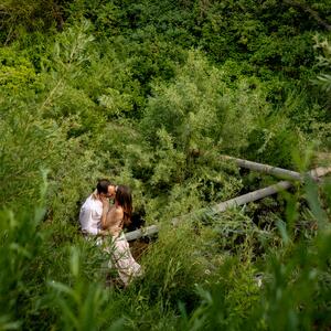 Gallery Photo 14
