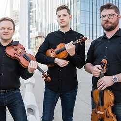 Champlain String Quartet, profile image