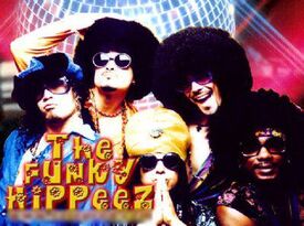THE FUNKY HIPPEEZ SHOW - Disco Band - Santa Monica, CA - Hero Gallery 2