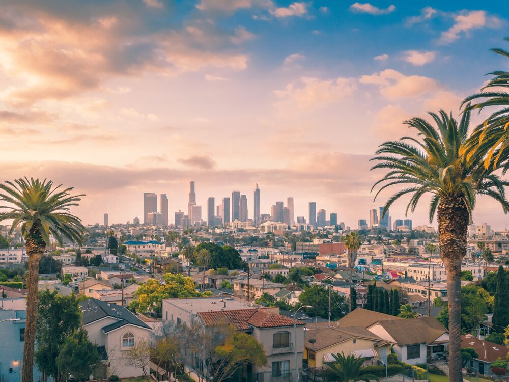 los angeles bachelor party