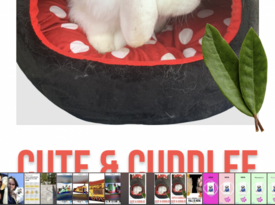 Cute & Cuddlee Mobile Petting Zoo - Animal For A Party - San Ramon, CA - Hero Gallery 4