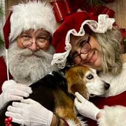 Magical Real Bearded Santas!, profile image