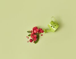 watering can with flowers