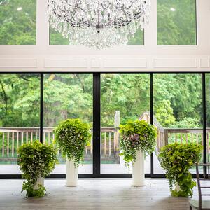 Gallery Photo 158