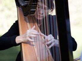 Elizabeth Mier - Harpist - Santa Cruz, CA - Hero Gallery 3