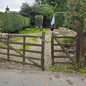 Gallery Photo 254