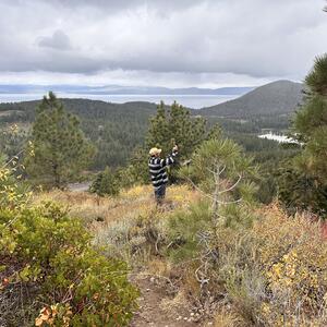Gallery Photo 49