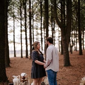Gallery Photo 28