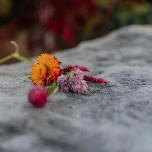 Gallery Photo 15