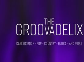 the Groovadelix - cover band - Cover Band - Dallas, TX - Hero Gallery 3