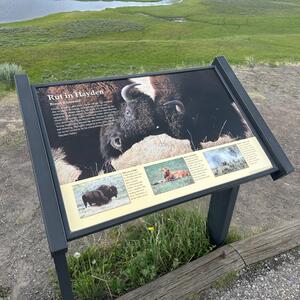 Gallery Photo 119