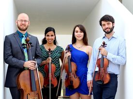 River Oaks String Quartet - String Quartet - Houston, TX - Hero Gallery 3