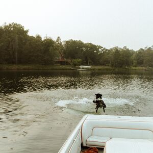 Gallery Photo 78