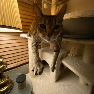 Gallery Photo 19