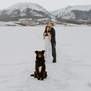 Gallery Photo 29